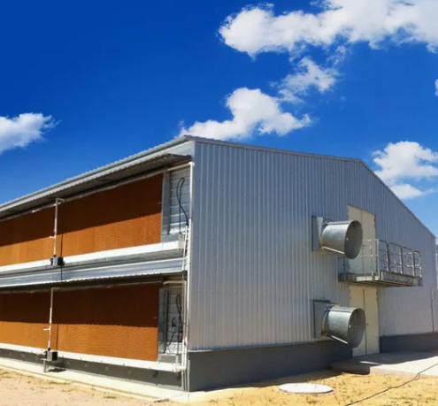 Commercial Broiler Rearing Equipment with Automatic Feeding Line Intelligent Climate Control and Hot-Dip Galvanized Steel