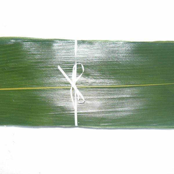 Vacuum-Packed Sushi Fresh Bamboo Hoba Leaf Leaves