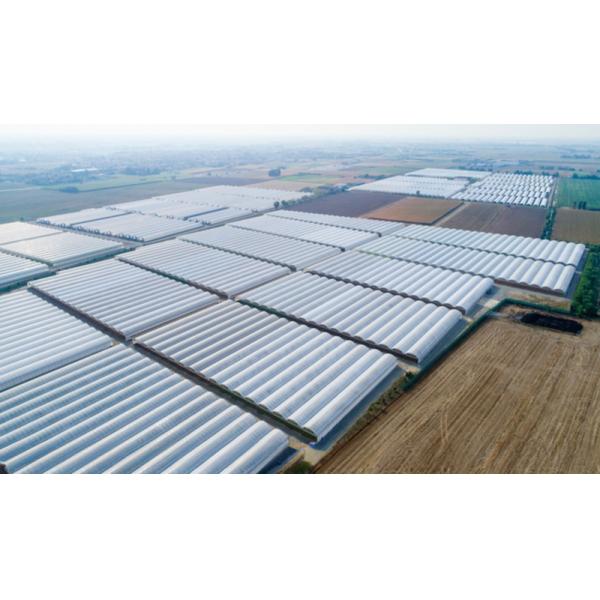 Super Strong Resistance Agriculture Multispan Greenhouse Frame for Growing Vegetables