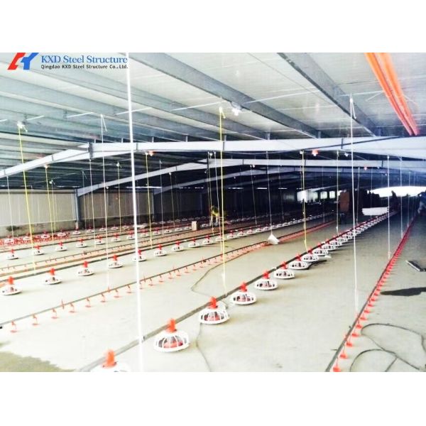 Anti Rust Broiler Pan Feeding System Automatic Plastic Slat Floor For Poultry