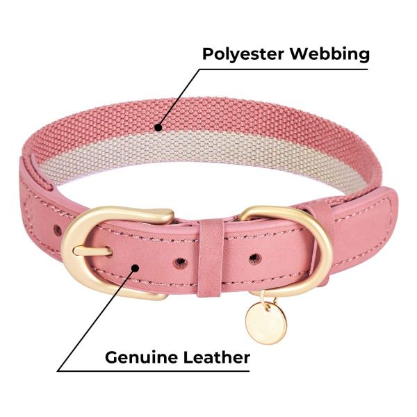 Polyester Webbing Leather Pet Collars Matched Leashes Available