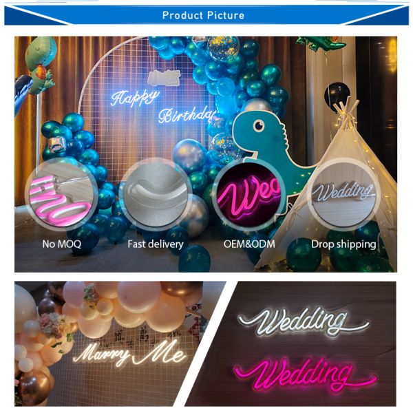 Acrylic Back Neon Letter Signs
