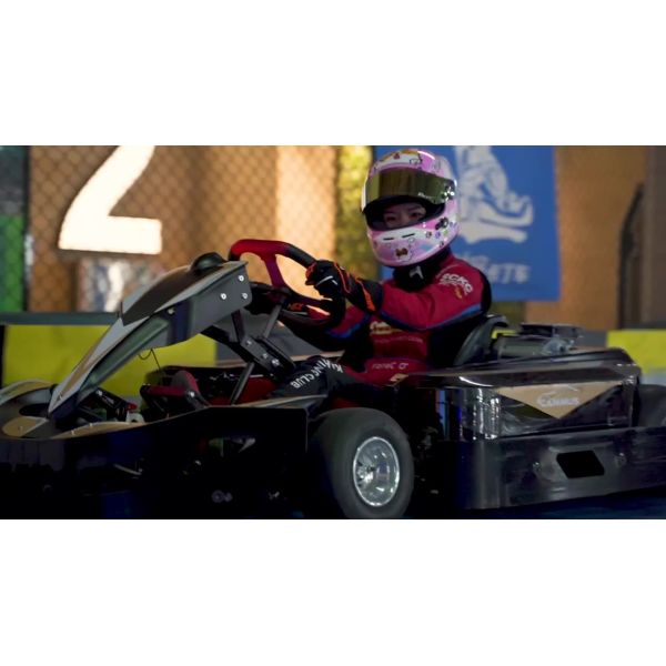 3000RPM High Performance Electric Go Kart Belt Drive Pro Racing Go Kart