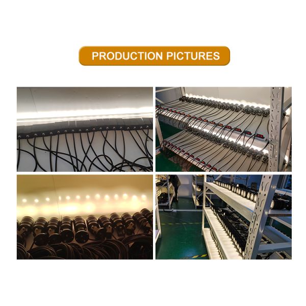 LED Facade Lighting IP65 Rustproof Die Casting Narrow Angle 16W DC24V For Garden Wall