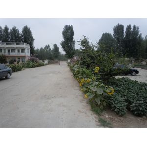 Shandong East Machinery & Equipment Co., Ltd.