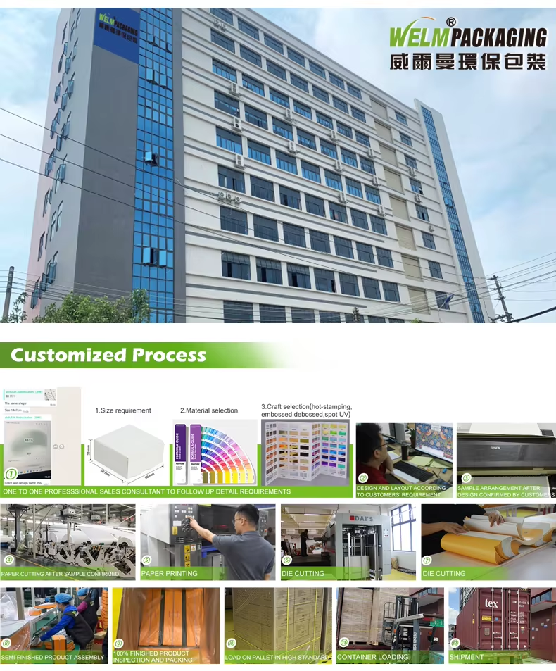 Custom Biodegradable Lunch Box Sustainable Sushi Burger Salad Packaging Solution