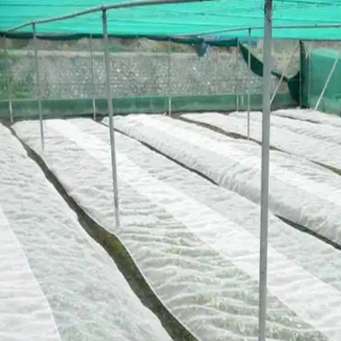 3m Width HDPE Garden Netting Providing Protection for Vegetables Fruits and Flowers