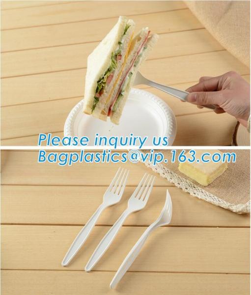 Disposable Plastic Blister Food Tray,Wholesale customized black disposable plastic fast food tray,plastic tray, bagease