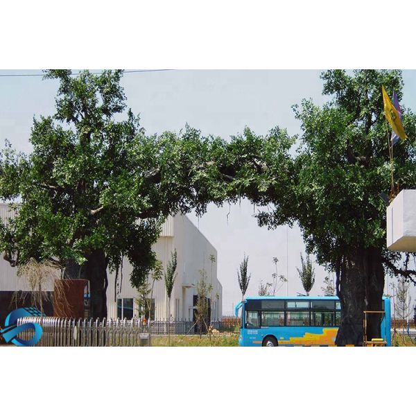 Odorless Decorative Artificial Ficus Tree 2.5 Meter Width Green Color