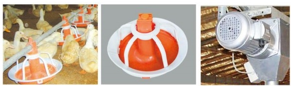 Duck Goose Feeding And Poultry Drinking System Plastic