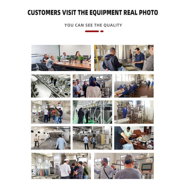 Commercial Peanut Roasting Machine Adjustable Conveyor Speed Roast Time 5-15min Multifunctional