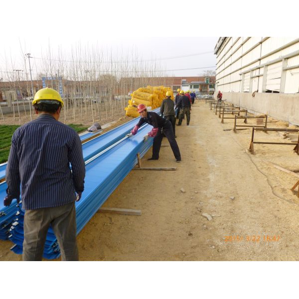 Automatic Metal Cage Steel Structure Broiler Chicken Poultry House