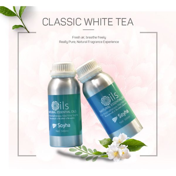 Jasmine Fragrance Plant Essential Oil Spa And Home Care Aromatherapy Use