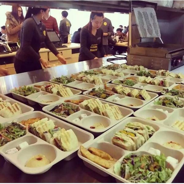 Large size eco-friendly biodegradable disposable fish dish sugarcane barbecue fish plate