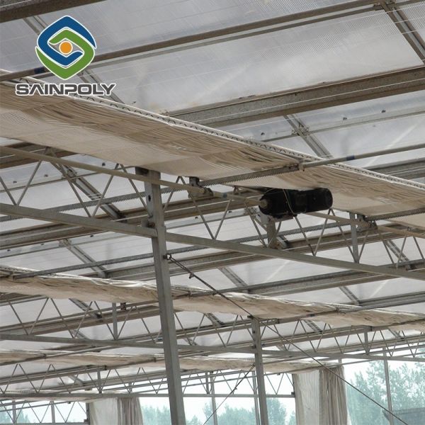 Hydroponic Venlo Glass Greenhouse Customizable