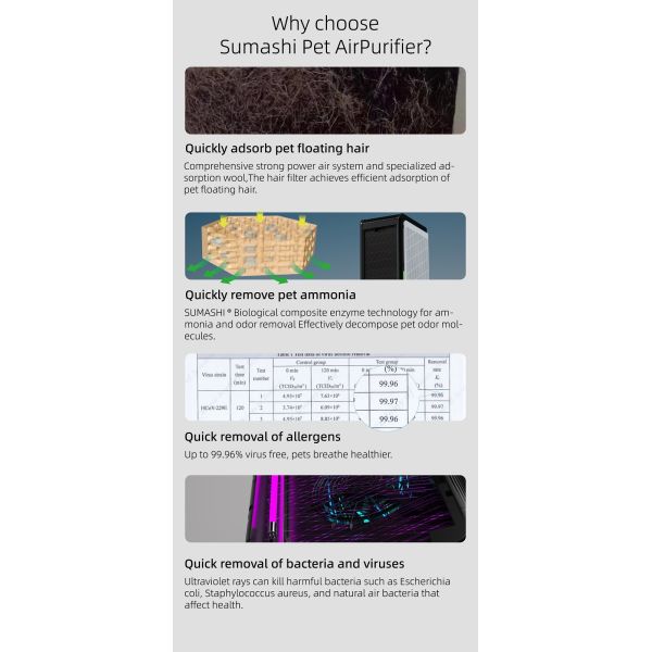 ABS Material Home Air Purifiers For Humans And Pet Allergies HEPA Filters Fresh Air