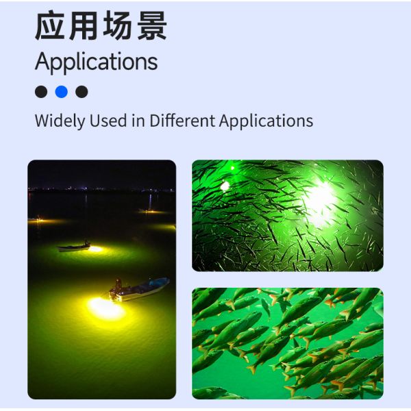 Luring Fish COB LED Chip 22000K 54V 300W 500W High Power LED COB
