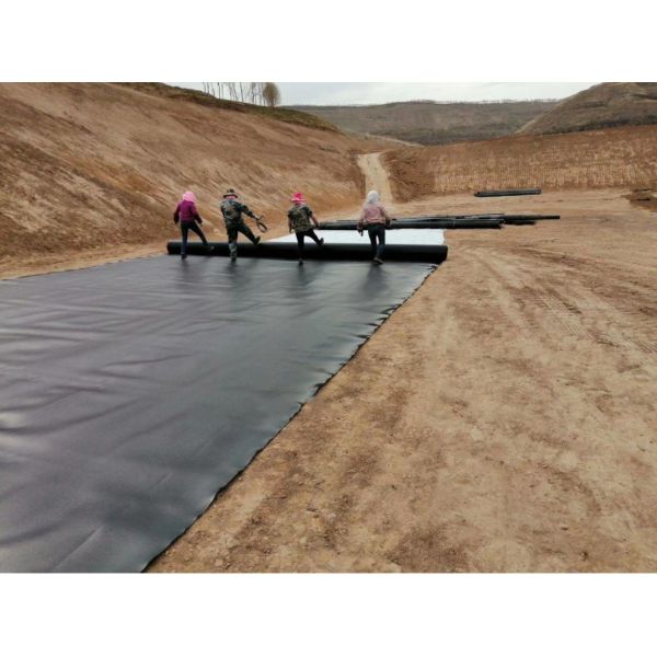 Black HDPE Geomembrane for Landfill Underground Waterproofing in 0.12-4.0mm Thickness