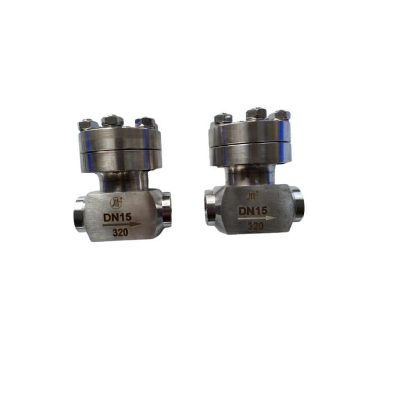 Socket Welding Connection High Pressure Check Valve For Cryogenic Liquid Gases Lox Lng Lin PN320 Valve