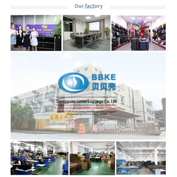 Purple EVA Carrying Case With Compartment / Nylon Zipper / Elastic Band