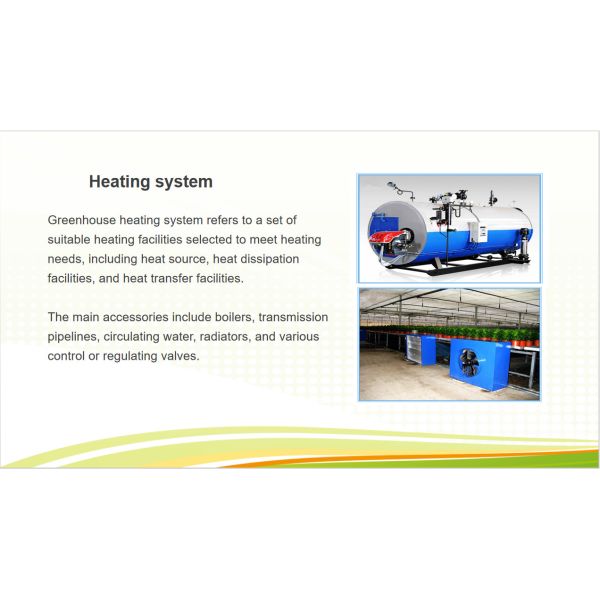 Customized Size Intelligent Greenhouse Vegetable Growing Greenhouse