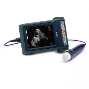 Buy cheap B Mode Veterinary Ultrasound Scanner Sow Pregnancy Testing product