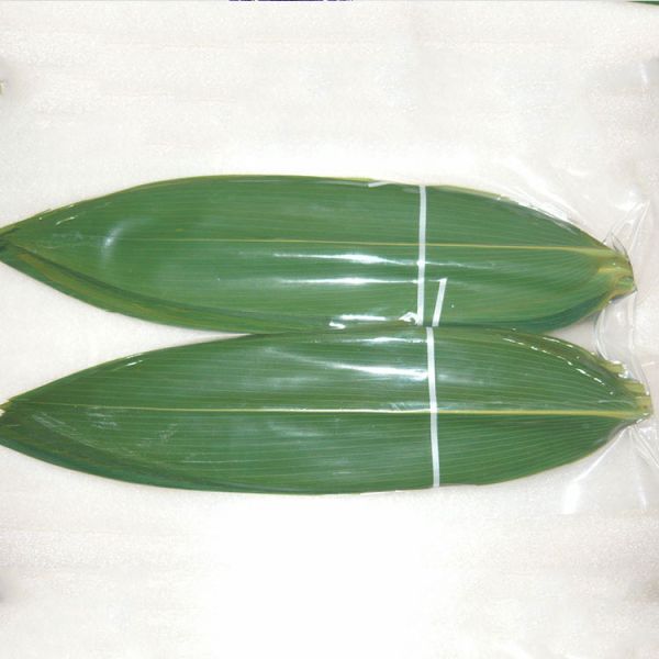 Vacuum-Packed Sushi Fresh Bamboo Hoba Leaf Leaves