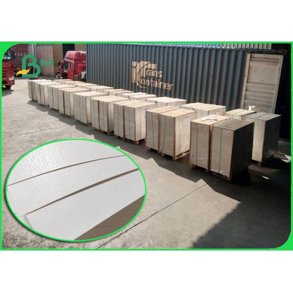 PE Coated Paper Biodegradable Cups Board Paper Bowl Board Food Container