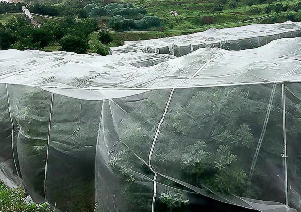 Plastic Garden Netting For Plant Vegetables And Fruits