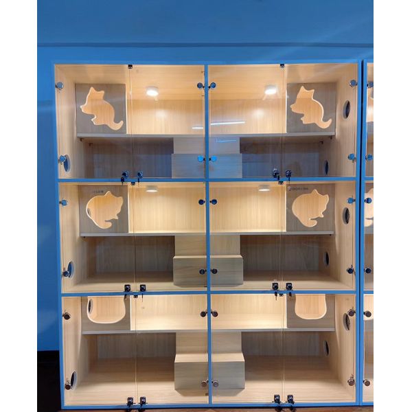 CRI Modern Dimmable LED Downlight With Adjustable Beam Angle