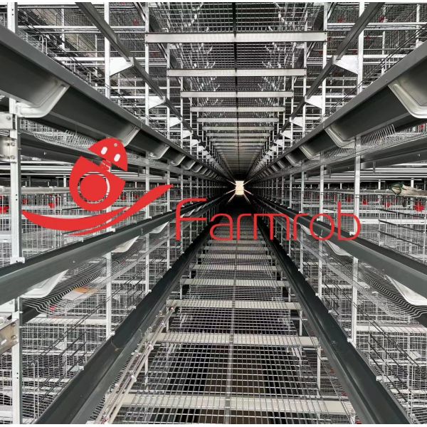 Fully Automatic H Type Layer Chicken Cage System Corrosion Resistant