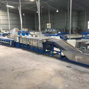 SUS304 Dates Nuts Tomato Round Fruit Grading Machine