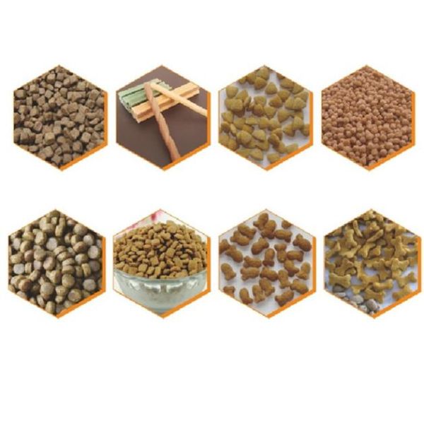 1-5kg / H Capacity Lab Pet Food Extruder Machine For Formula Test , Low Noise