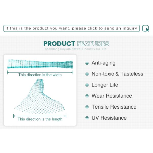 100% New PP Orchard Protect Green Anti Bird Net Agriculture Anti Bird Net