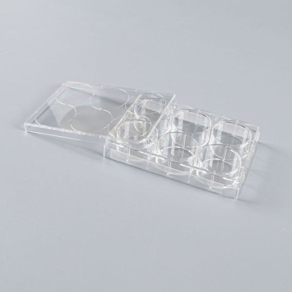 Disposable Transparent Polystyrene 6 Well Bacterial Cell Culture Plate Flat Bottom