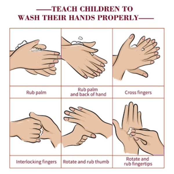 Moisturizing Antibacterial Hand Sanitizer Gel For Killing Germs / Fungi / Cocci