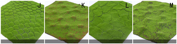 Green Silk Cloth Moss Artificial Grass Vertical Garden Wall Panles Size 1*1m