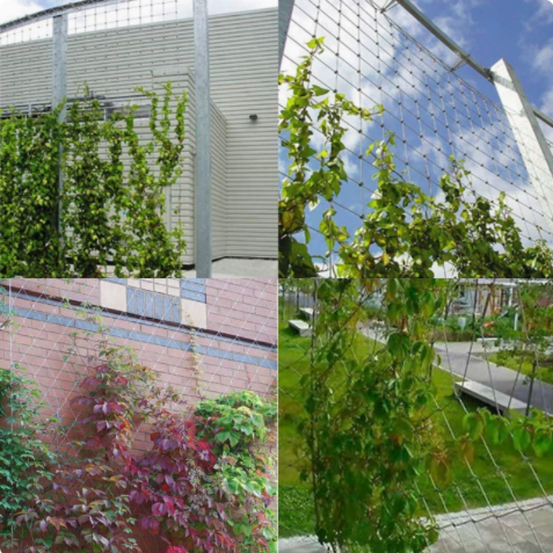 Flexible Snap On Stainless Steel Wire Rope Climbing Net For Green Plants Grape Trellises And Flower Stands