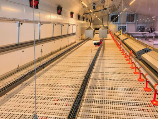 Hot-dip Galvanized Automatic Broiler Chicken Cage System with Adjustable Vents and Corrosion Resistant Design