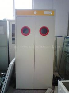 China Satety Laboratory Storage Cabinets , Gas Cylinder Cabinet With Alarm System on sale