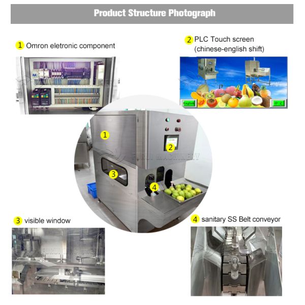 0.6kw Power Fruit And Vegetable Processing Machine High Peeling Speed