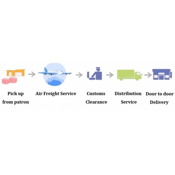 FCL Sea Freight Forwarder , Ocean Shipping Logistics Shenzhen To Hamburg