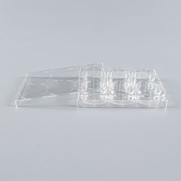 Disposable Transparent Polystyrene 6 Well Bacterial Cell Culture Plate Flat Bottom