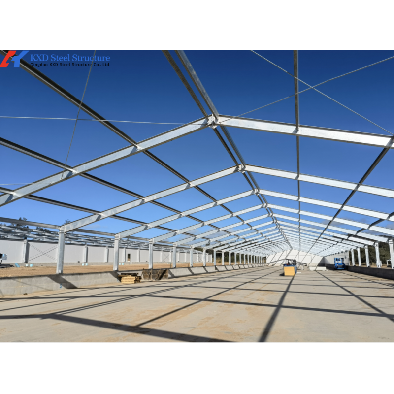 Fast Build Steel Structure Poultry Shed Construction Customized