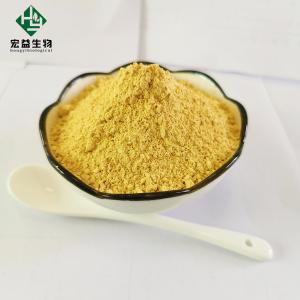 China Natural Herbal Extract Berberine Hydrochloride Powder Antibacterial Anti Inflammatory on sale
