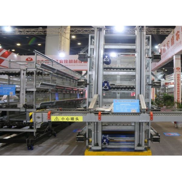 Energy Saving H Type Layer Chicken Cage / Wire Poultry Cages Operate Steadily