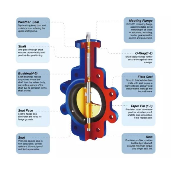 316/ 304 Cast Iron Butterfly Valve