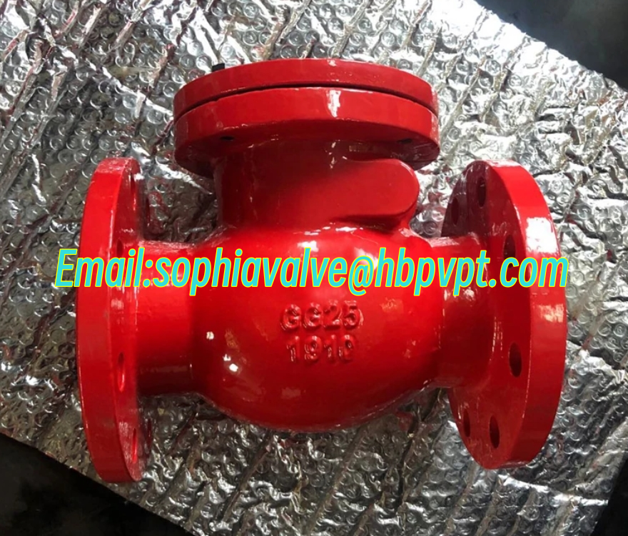 DIN PN16 metal seal flanged swing check valve