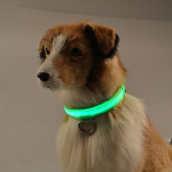 Anti Loss Glowing Dog Collars Polyester Luminous Dog Collars Feature Lights
