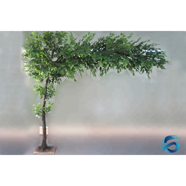 Watertight Artificial Tree Ficus , Decorating With Fake Ficus Tree OEM / ODM